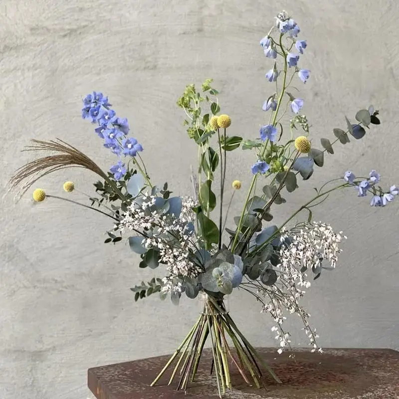 Spiral Ikebana Stem Titular, r - Ikebana Vase Kenzan avaliação e preço