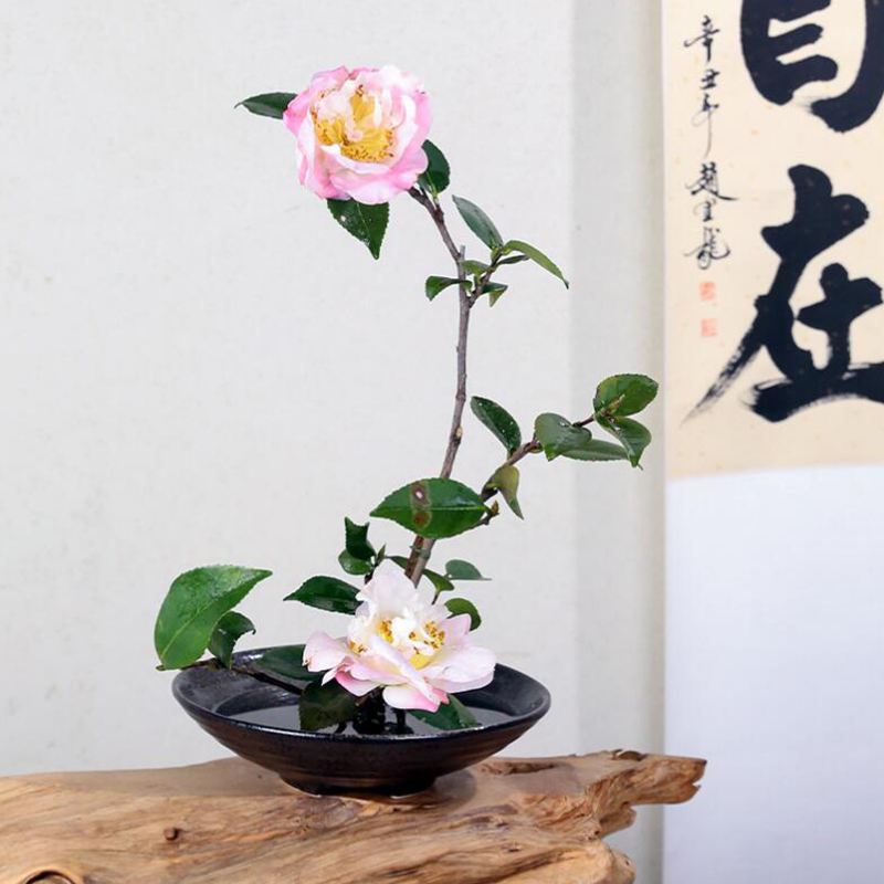 Sapo japonês Vaso Cerâmica Bou - Ikebana Vase Kenzan avaliação e preço